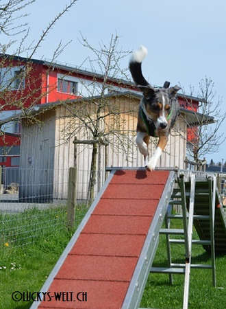 Agility Schrägwand