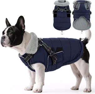 ASENKU Hundemantel Winter mit Geschirr S Wasserdicht für kleine Hunde 
