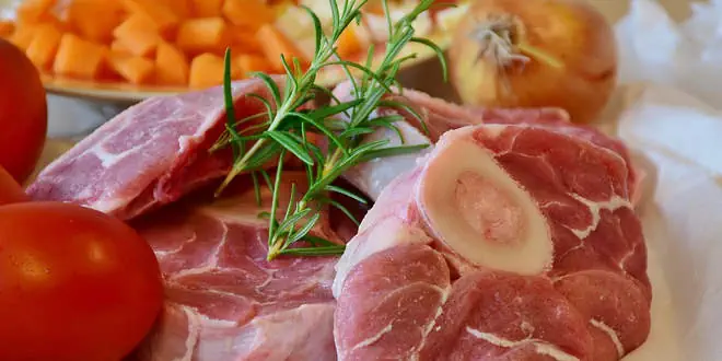 BARF – Knochen und Rohfütterung bei Hunden