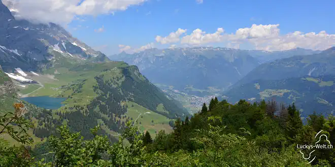 Panoramaweg Braunwald » eine Wanderung mit dem Hund