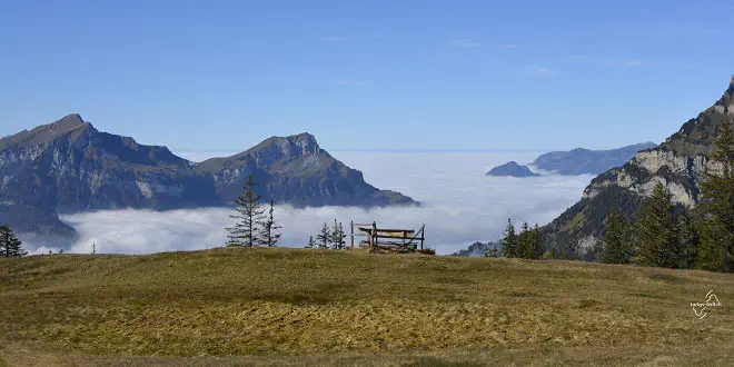 Rundwanderung zur Hüenderegg » Beschreibung der Wanderung