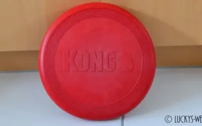 Der Hundefrisbee „Flyer“ – die Frisbeescheibe von KONG
