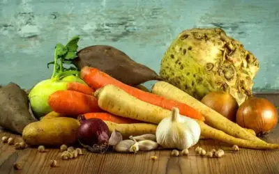 Gemüse für Hunde – welches ist gut?