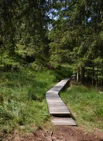 Golzern Wanderweg