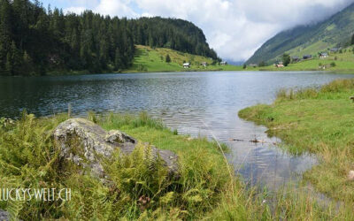 Der Golzernsee im Maderanertal – Ausflug mit dem Hund