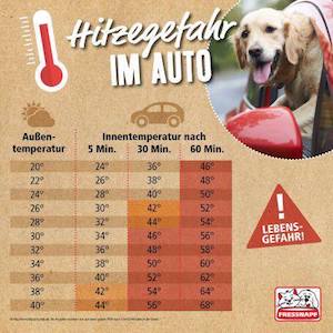 Hitzegefahr im Auto schon ab 20° Außentemperatur kann nach 60 Minuten Lebensgefahr bestehen