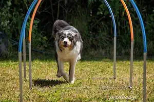 Hoop
