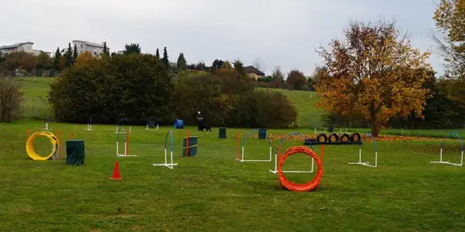 Hoopers – NADAC Hoopers Agility © NADAC Hoopers Schweiz Hoopers - NADAC Hoopers Agility © NADAC Hoopers Schweiz