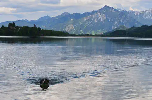 Hotel Bergruh Badespaß mit Lucky