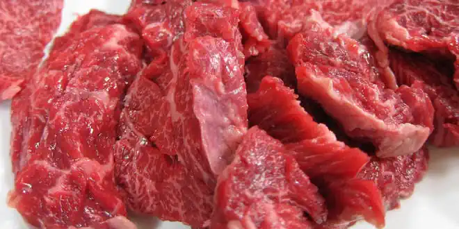 Hundekekse mit Fleisch » Rezept