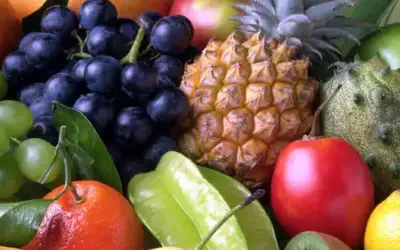 Hundekese selber backen » Rezepte mit Früchten