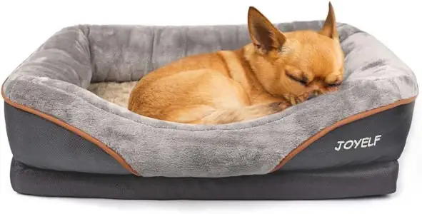 JOYELF Memory Foam Hundebett Kleines orthopädisches Hundebett & Sofa mit abnehmbarem waschbarem Bezug und Quietschspielzeug als Geschenk