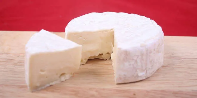 Hundekekse mit Käse backen – zwei tolle Rezepte