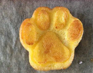 Käsekekse für Hunde