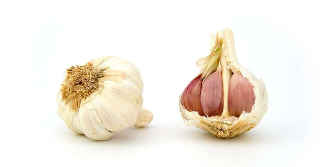 Knoblauch