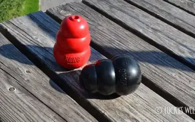 KONG Classic / KONG Extreme – Hundespielzeug