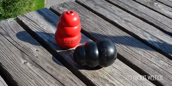 KONG Classic / KONG Extreme – Hundespielzeug