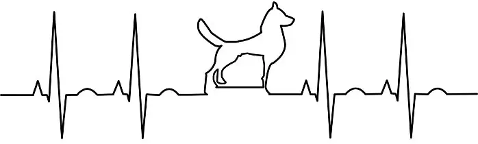 Logo 2 - Luckys Welt