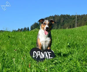 luckys-welt.ch - Danke