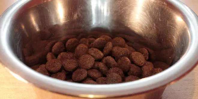 Mineralstoffe Hund Mineralstoffe Hund