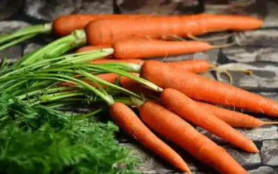 Morosche Karottensuppe » wohltuend für Mensch und Tier