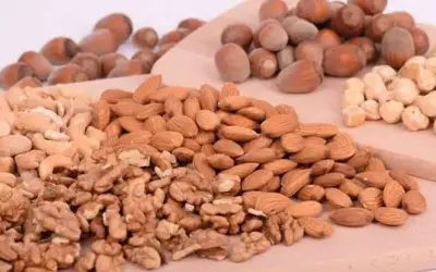 Darf mein Hund Nüsse, Kerne und Samen fressen?