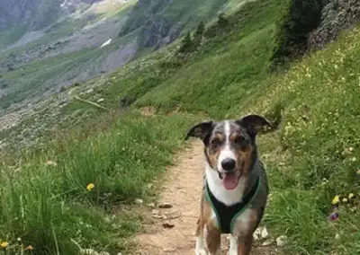 Braunwald Panoramaweg