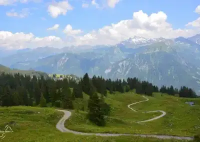 Der Wanderweg zurück