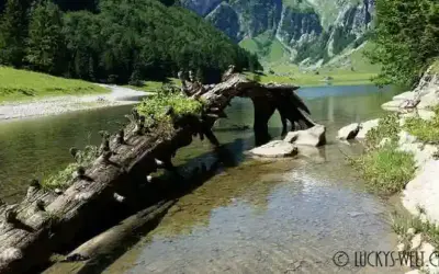 Bergwanderung zum Seealpsee