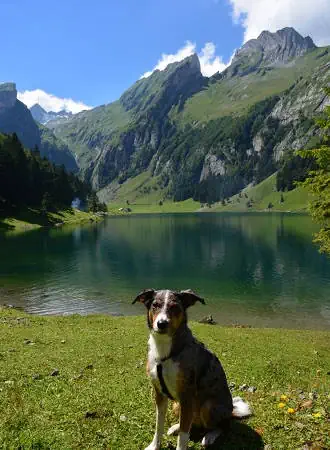 Seealpsee