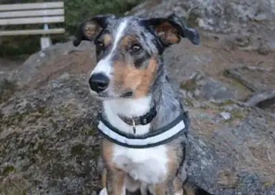 Wandern Lucky
