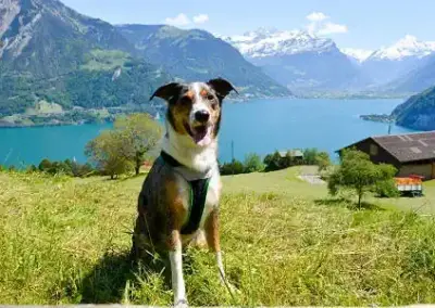 Wanderung Bauen