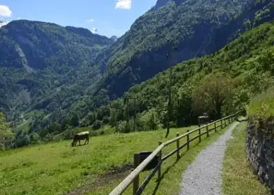 Wanderung Bauen Seelisberg