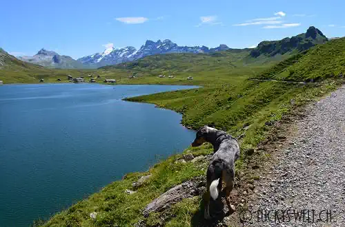 Wanderweg Melchsee Frutt