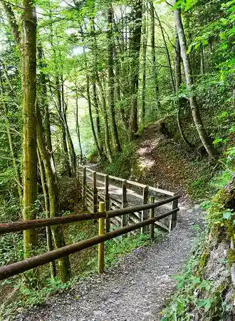 Wanderweg Seelisberg